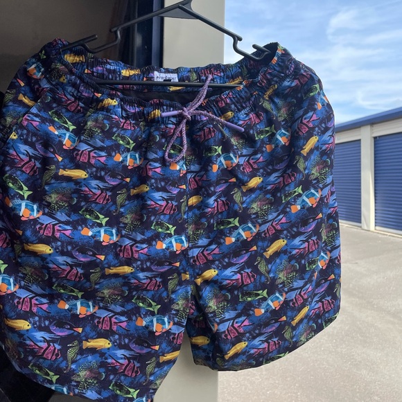 🐠Colorful Fish Print Swim Shorts trunks  Men’s Buoy Boat Size Large lined!  6” - Picture 2 of 8